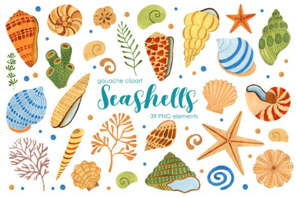 Shell. Clipart Seamless Patterns: A Versatile Resource for Designers and Creators
